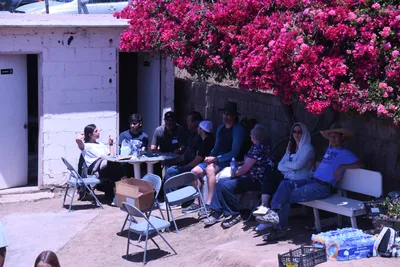 DSC_1081 (Large).JPG